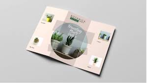 In brochure đẹp, giá rẻ, số lượng ít tại xưởng in nhanh Vĩnh Tú